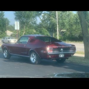 Meet your Posher, Anthony